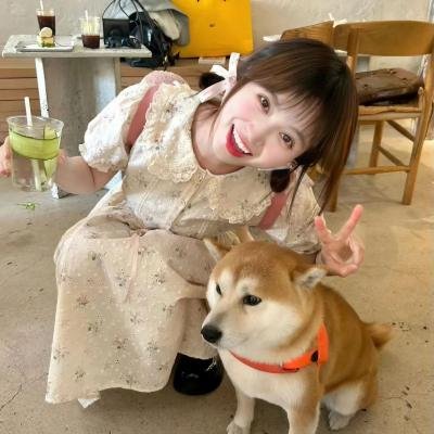 笨金鱼